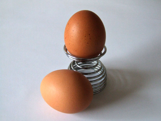 Eggs, a common food in a balanced diet
