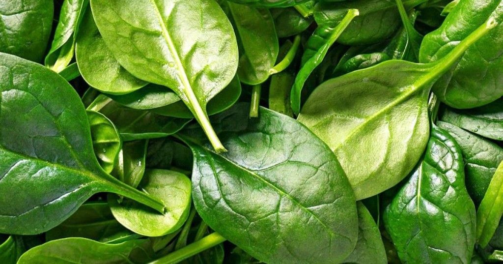 Spinach, a leafy green vegetable